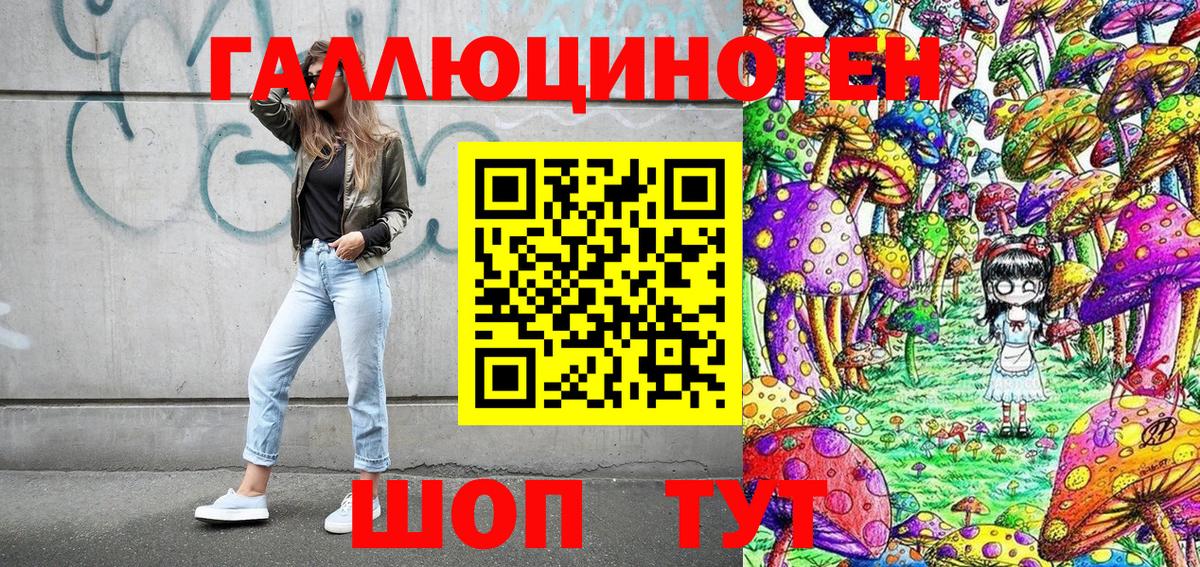Псилоцибиновые грибы GOLDEN TEACHER Каменск-Шахтинский