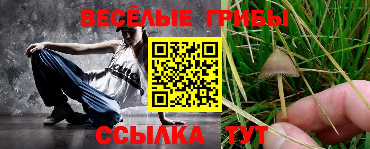 Каменск-Шахтинский  Галлюциногенные грибы Magic Shrooms  цена   Вход с VPN 